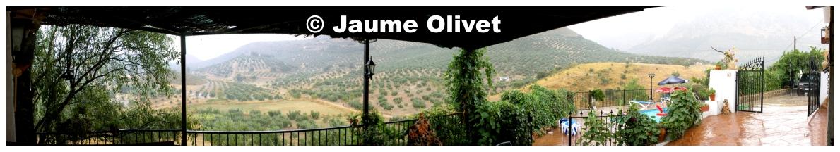 � Jaume Olivet 2009