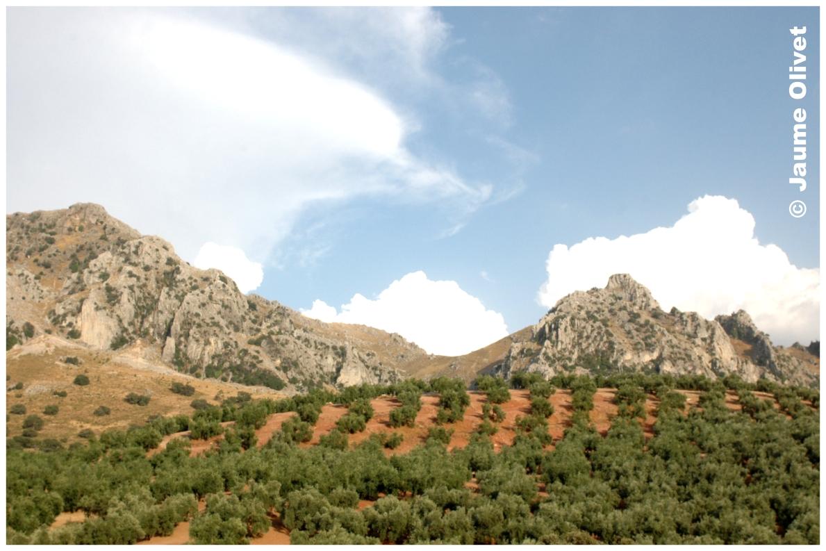 � Jaume Olivet 2009