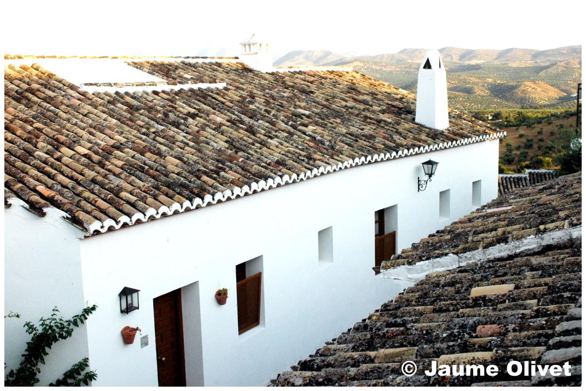 � Jaume Olivet 2009