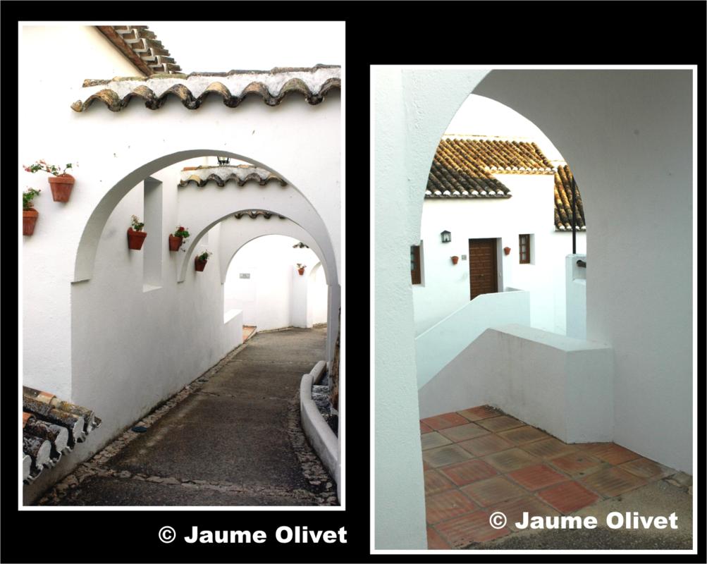 � Jaume Olivet 2009