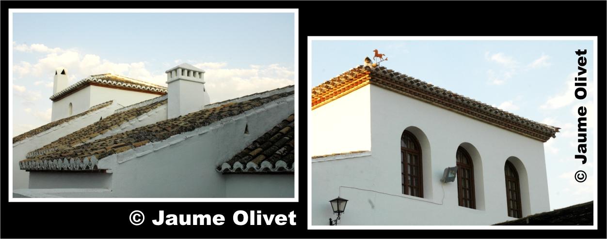 � Jaume Olivet 2009