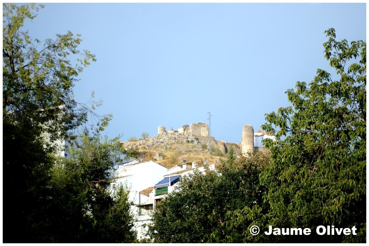 � Jaume Olivet 2009