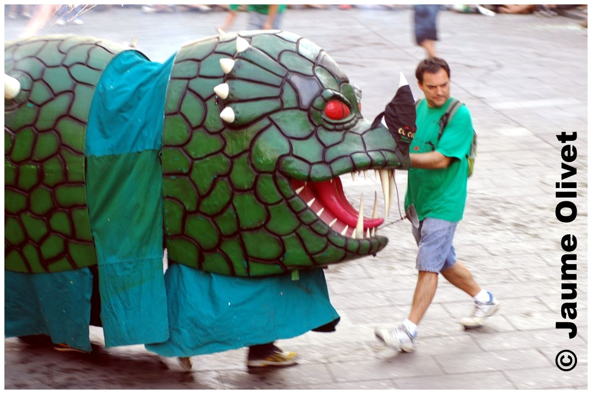 � Jaume Olivet 2009