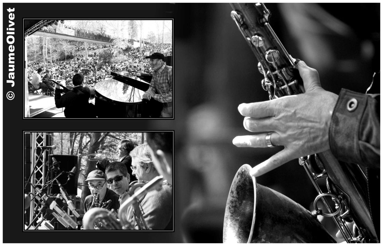 © Jaume Olivet 2009