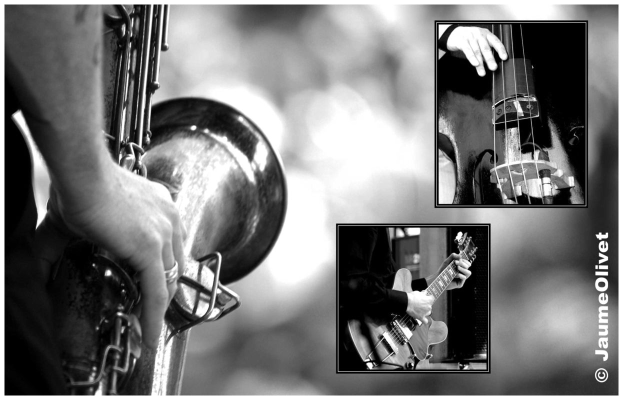 © Jaume Olivet 2009