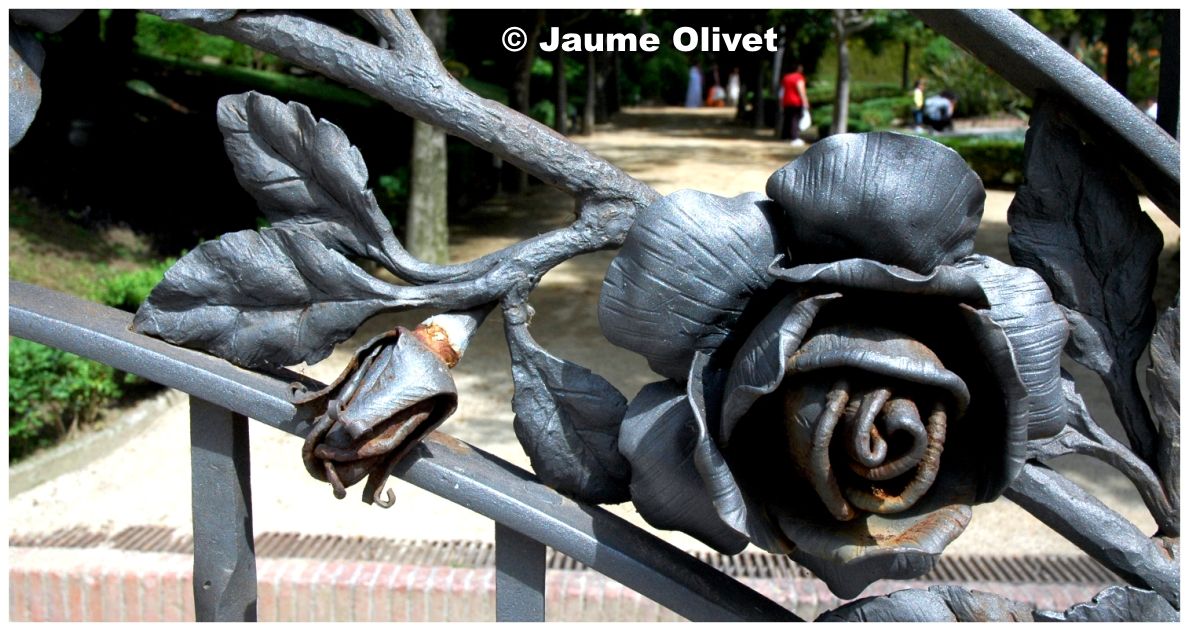 M2009_0220  Jaume Olivet