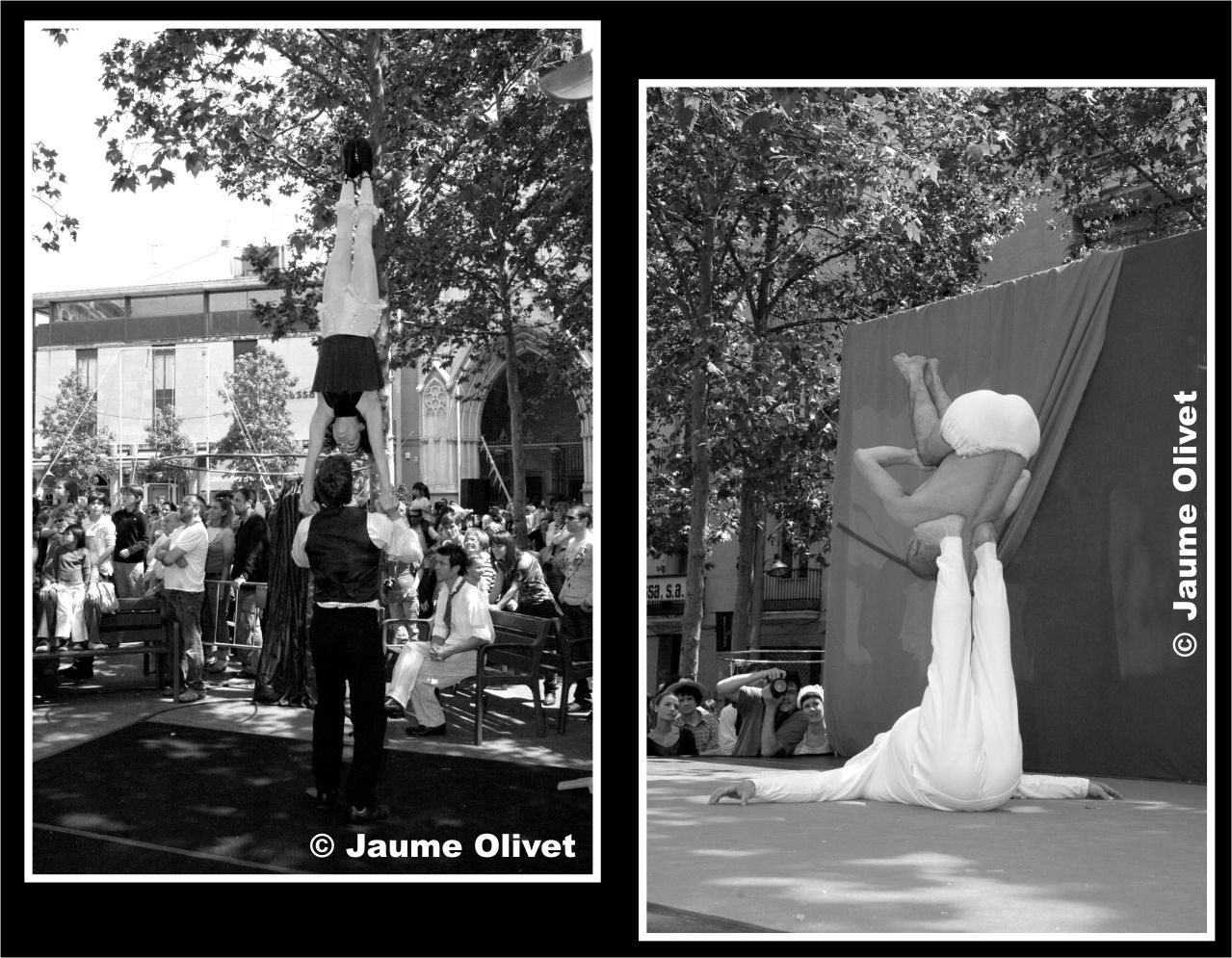 M2009_1006  Jaume Olivet