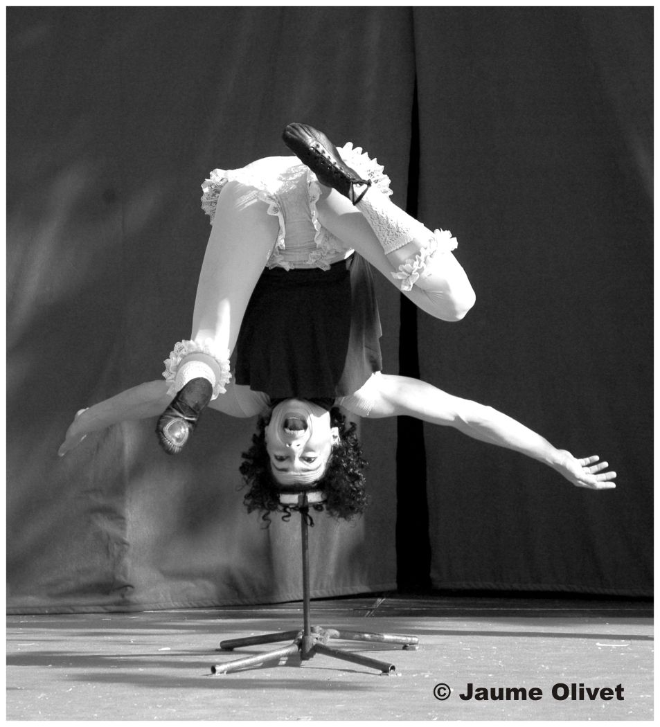 M2009_1016  Jaume Olivet
