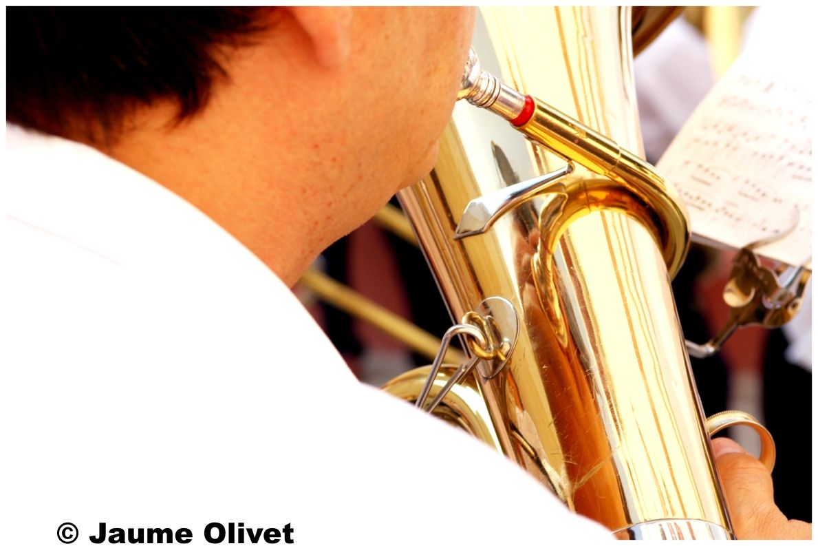 � Jaume Olivet 2009