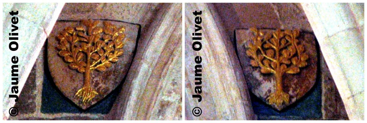 � Jaume Olivet 2009