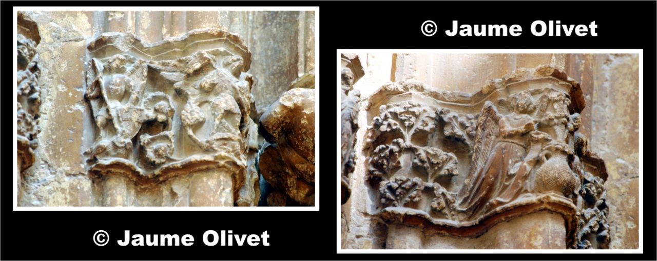 � Jaume Olivet 2009