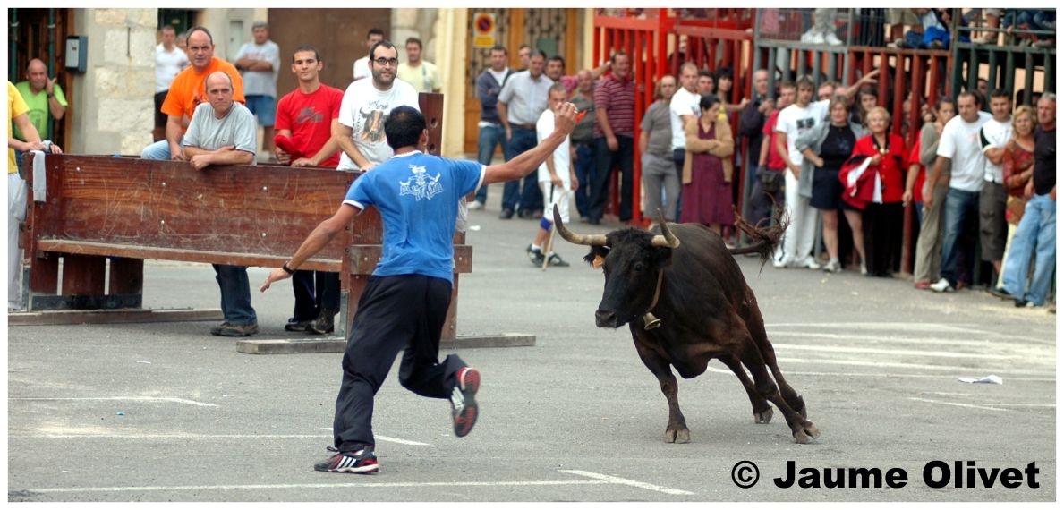 � Jaume Olivet 2009