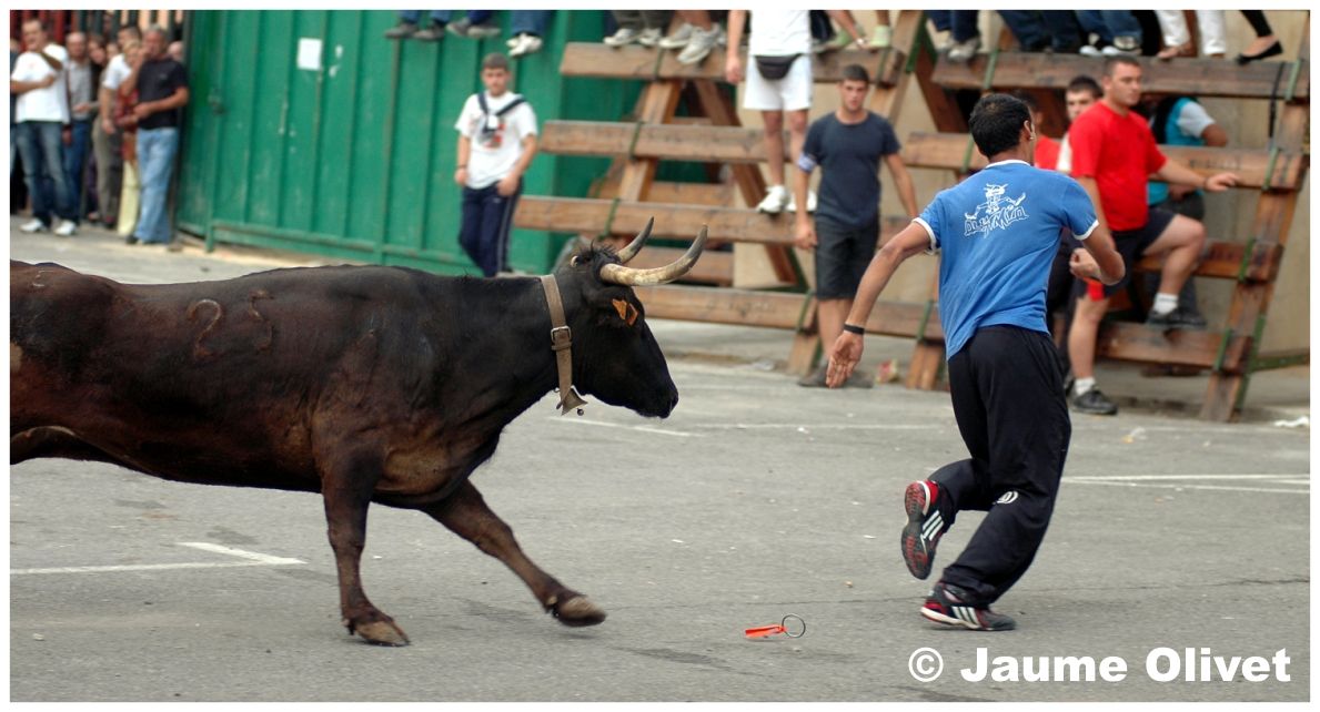 � Jaume Olivet 2009