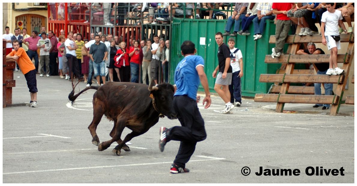 � Jaume Olivet 2009