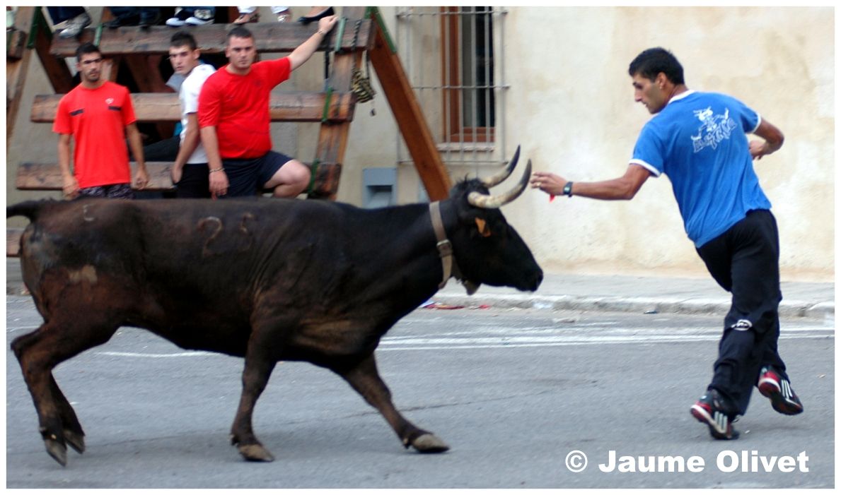 � Jaume Olivet 2009