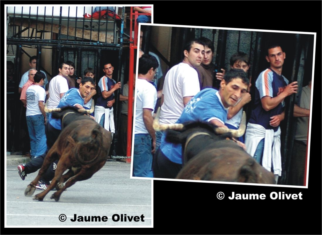 � Jaume Olivet 2009