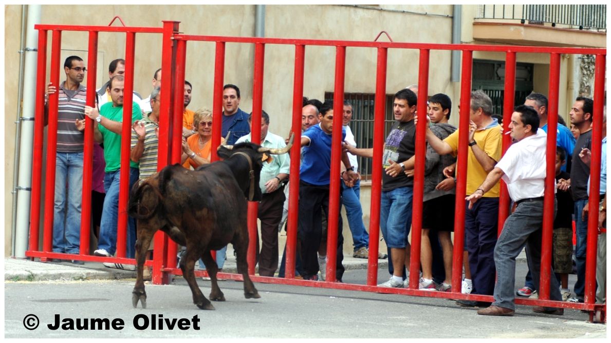 � Jaume Olivet 2009