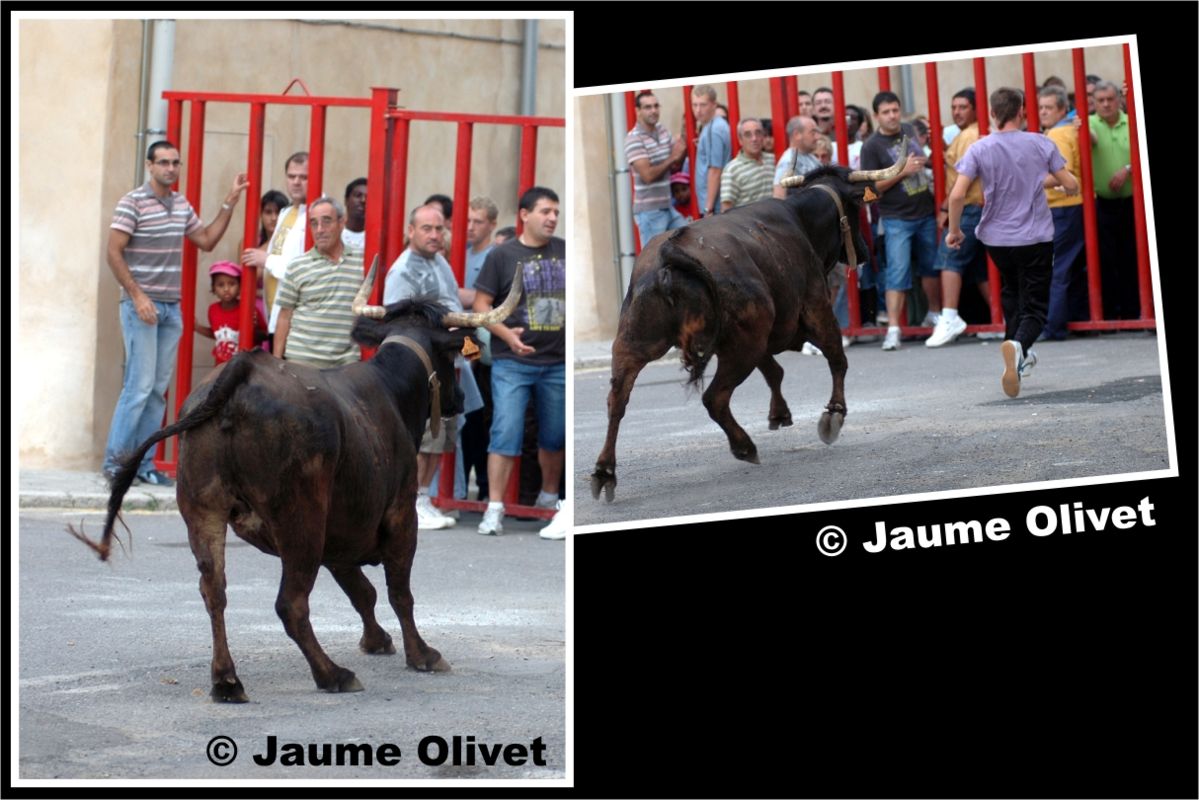 � Jaume Olivet 2009