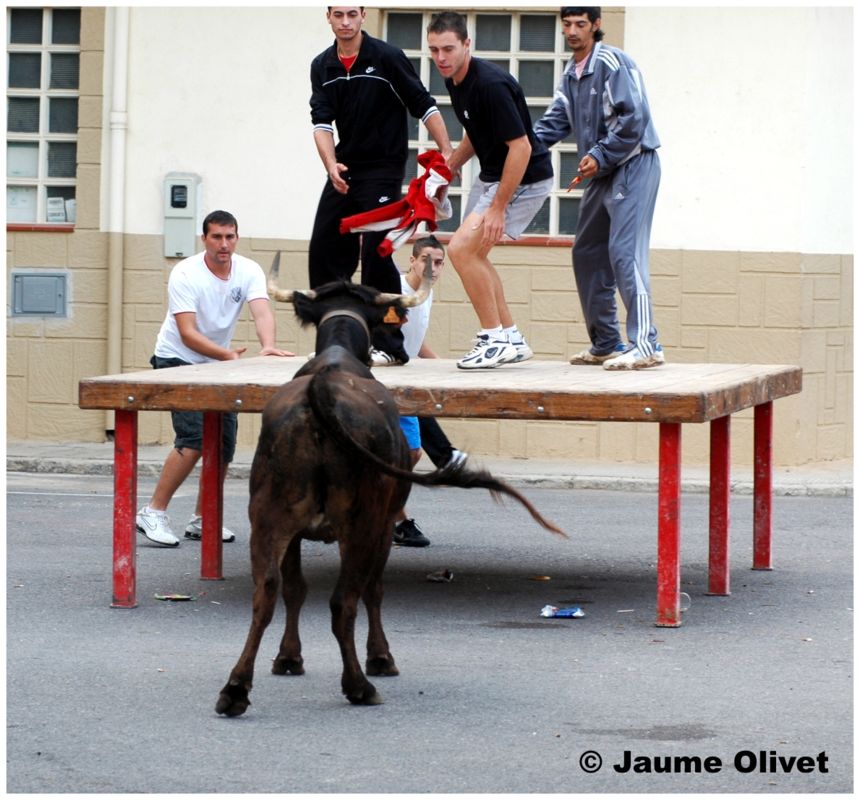 � Jaume Olivet 2009