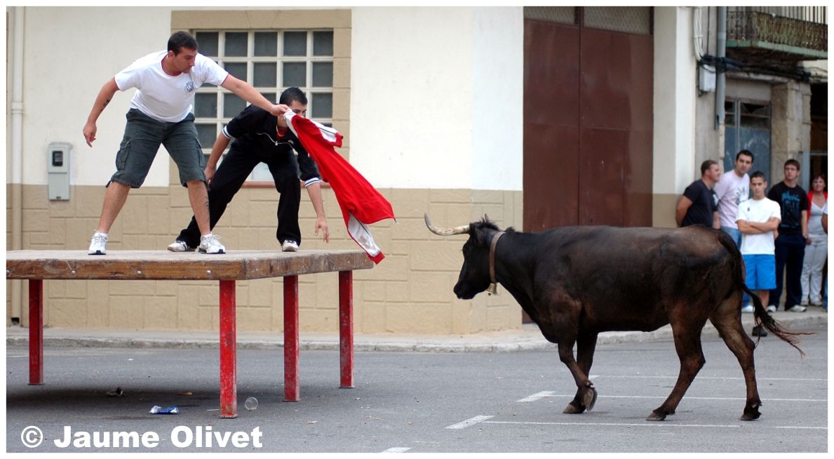 � Jaume Olivet 2009