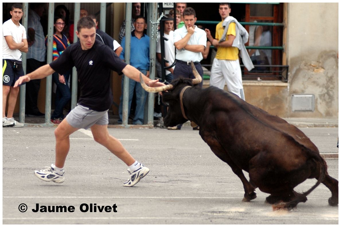 � Jaume Olivet 2009