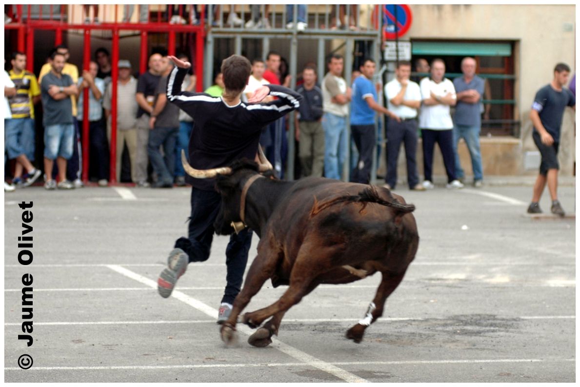 � Jaume Olivet 2009