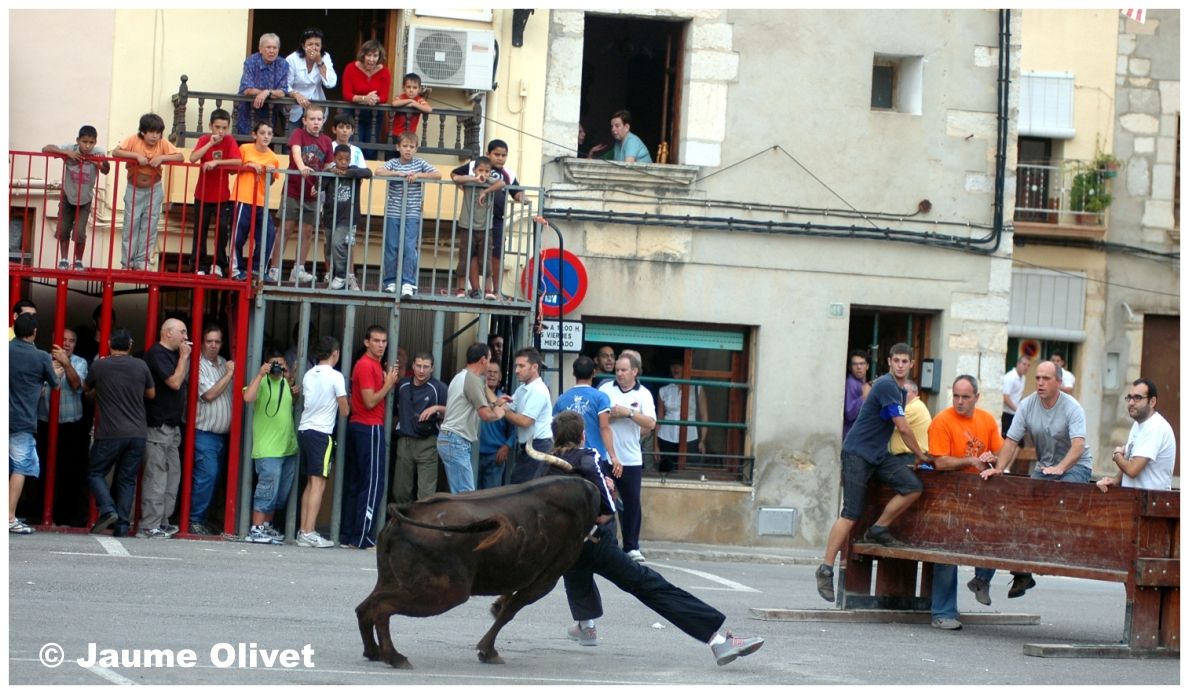 � Jaume Olivet 2009