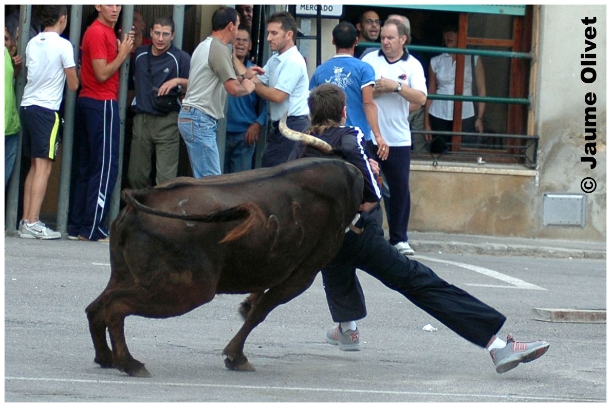 � Jaume Olivet 2009