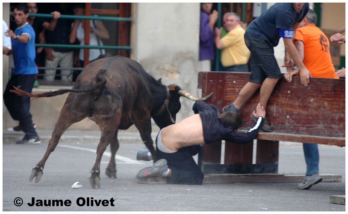 � Jaume Olivet 2009