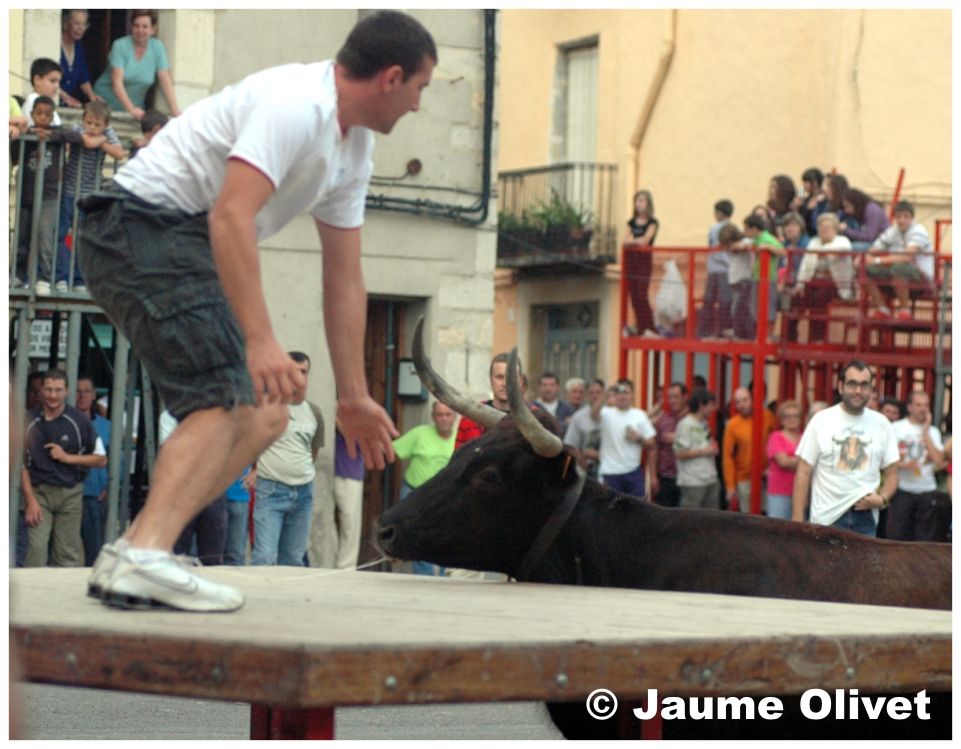 � Jaume Olivet 2009