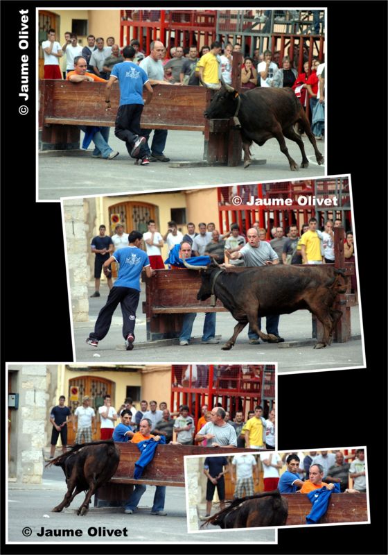 � Jaume Olivet 2009