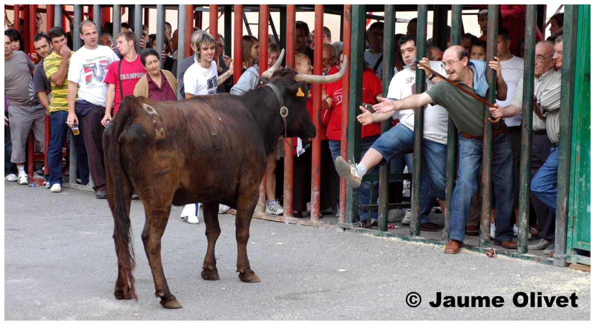 � Jaume Olivet 2009