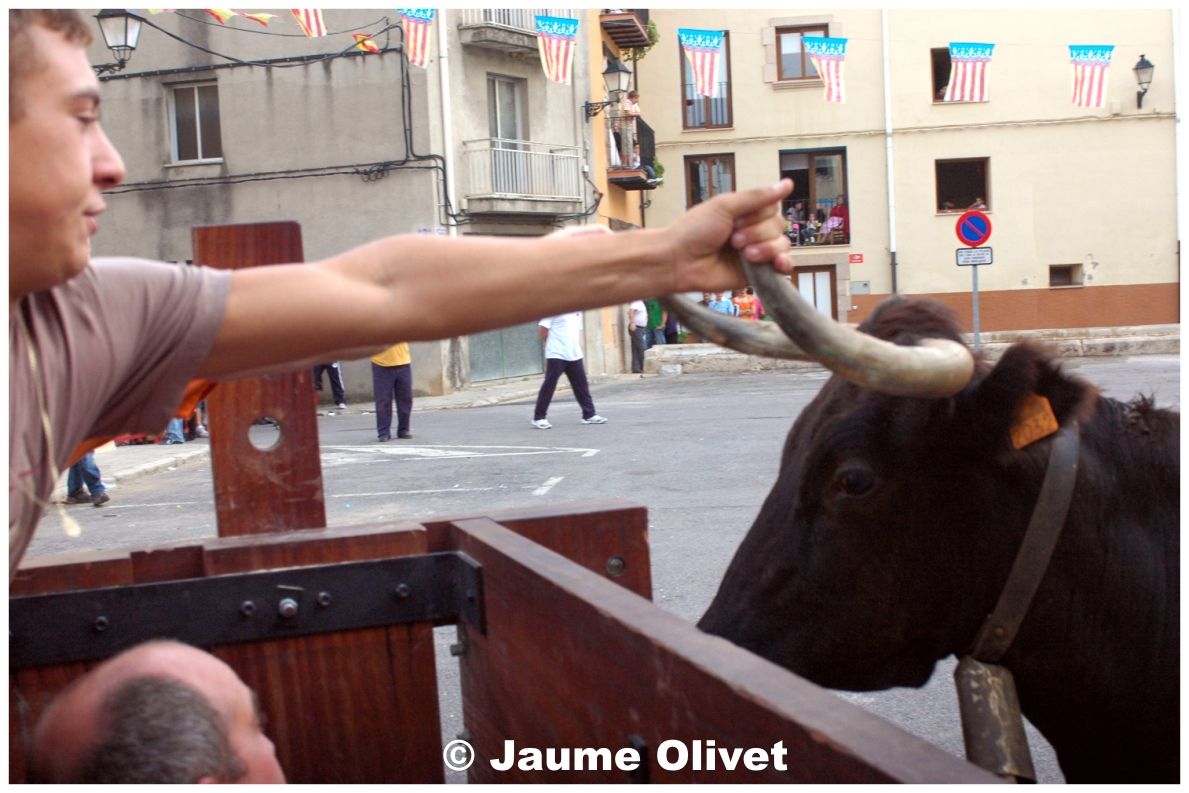 � Jaume Olivet 2009