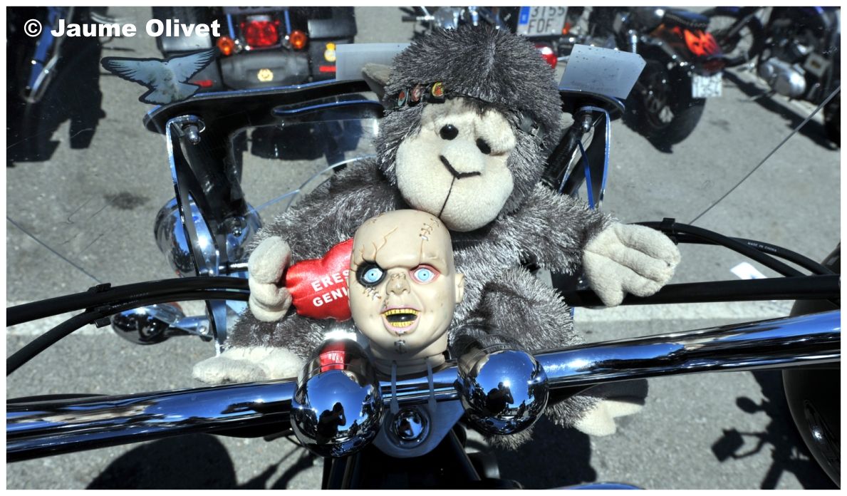 � Jaume Olivet 2009