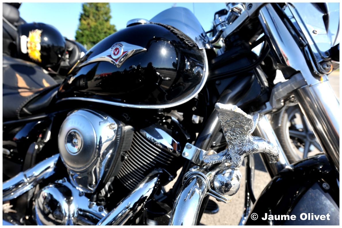 � Jaume Olivet 2009