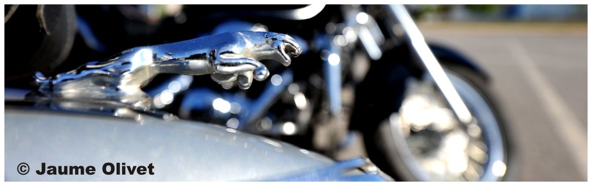 � Jaume Olivet 2009