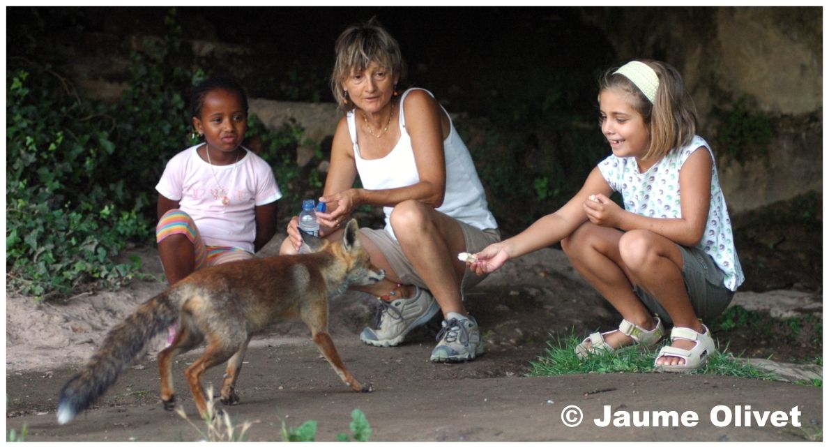 � Jaume Olivet 2009