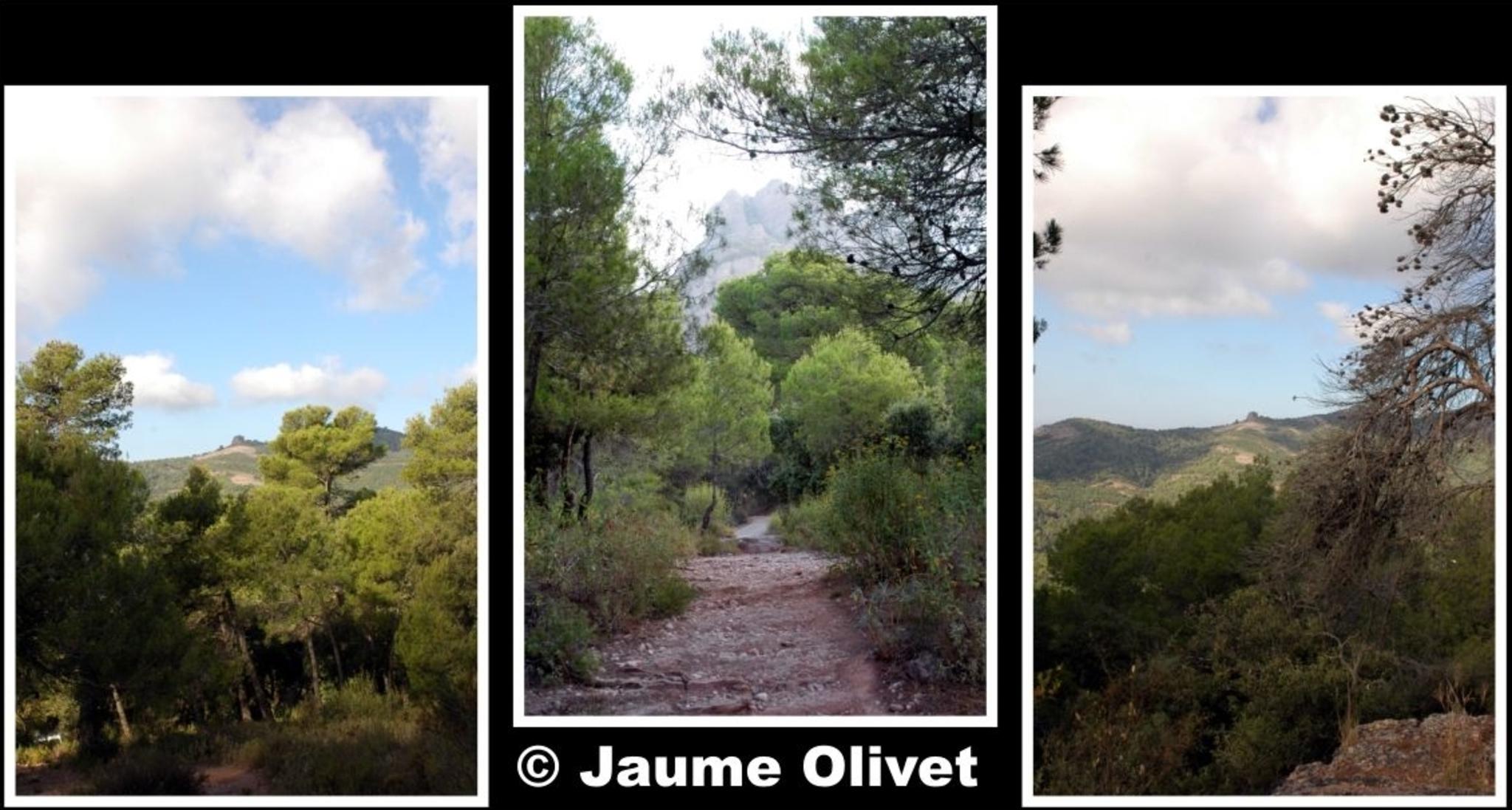 � Jaume Olivet 2009