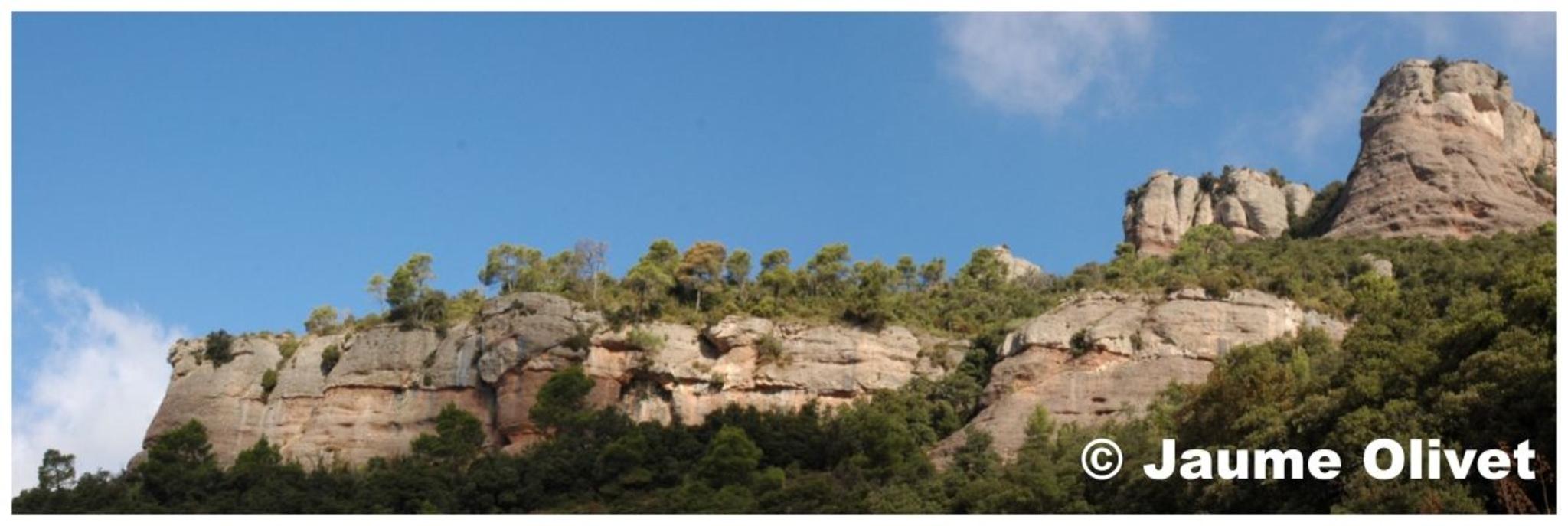 � Jaume Olivet 2009