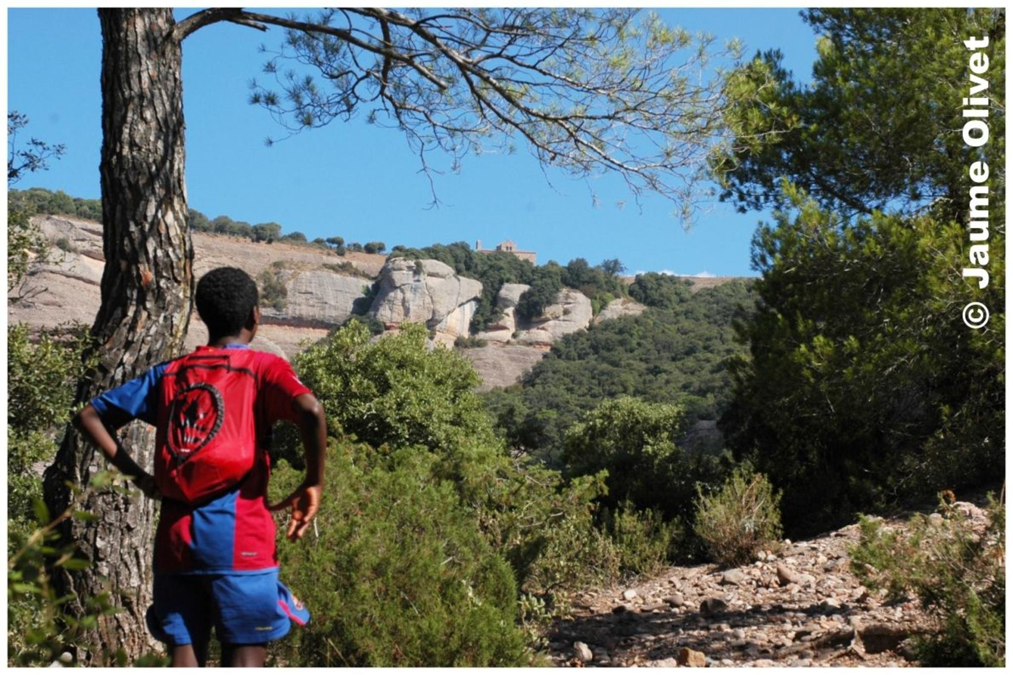 � Jaume Olivet 2009