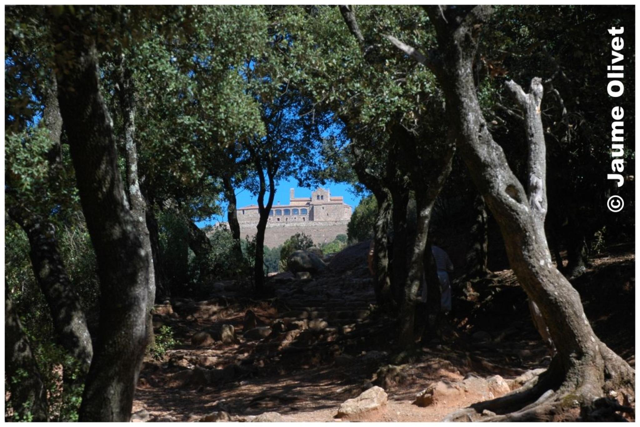 � Jaume Olivet 2009