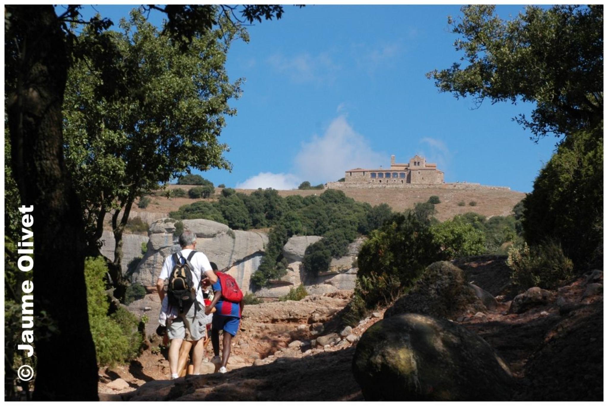 � Jaume Olivet 2009