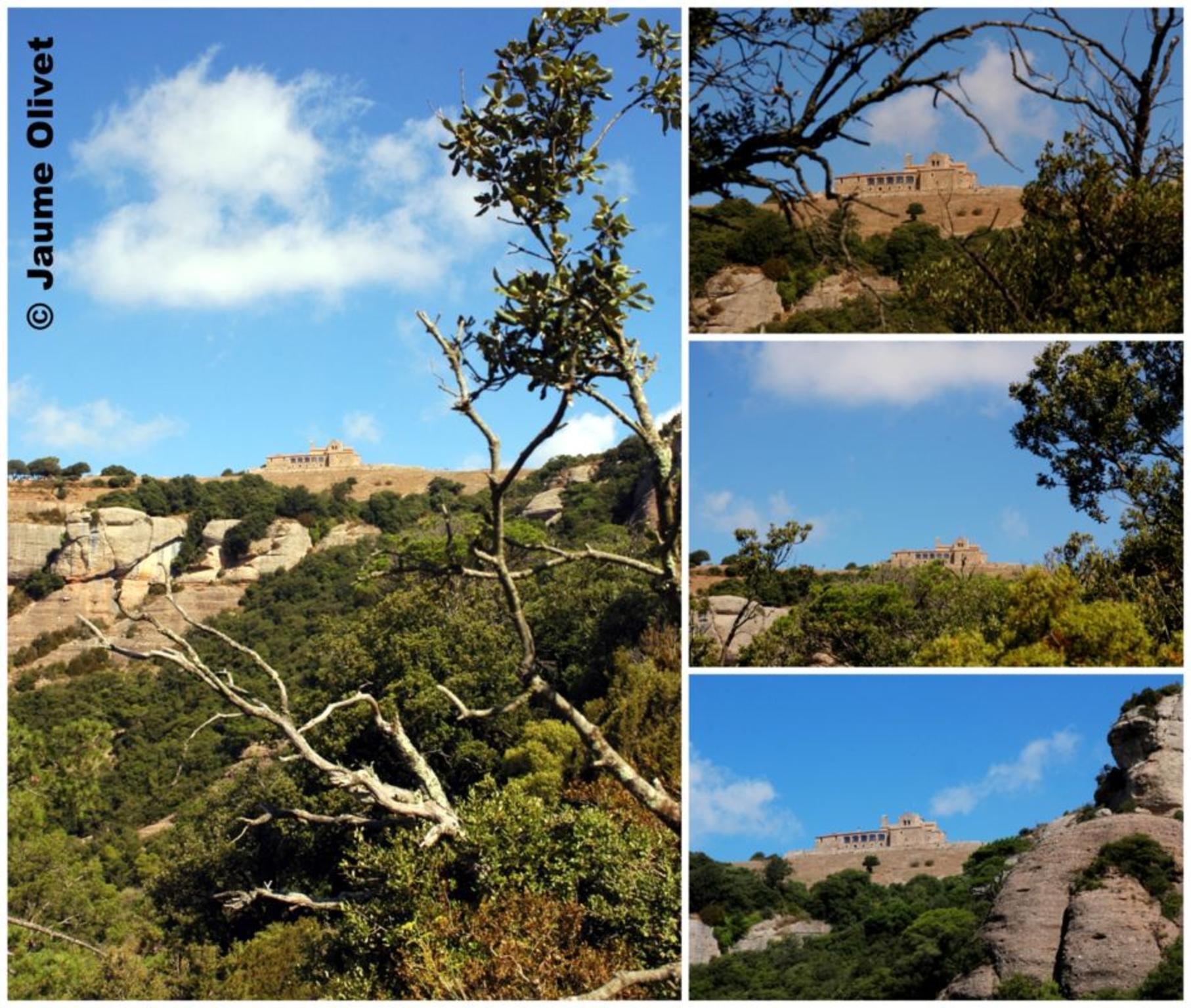 � Jaume Olivet 2009