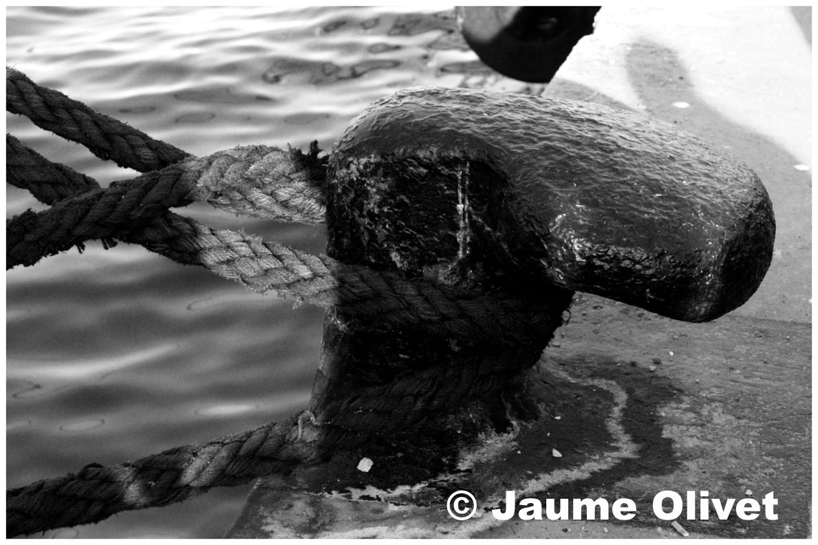 � Jaume Olivet 2009