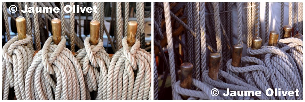 � Jaume Olivet 2009