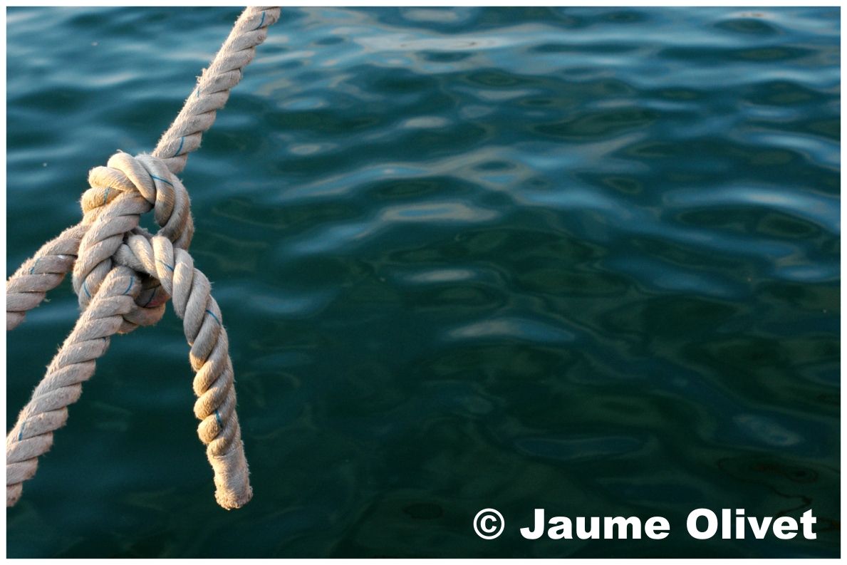 � Jaume Olivet 2009