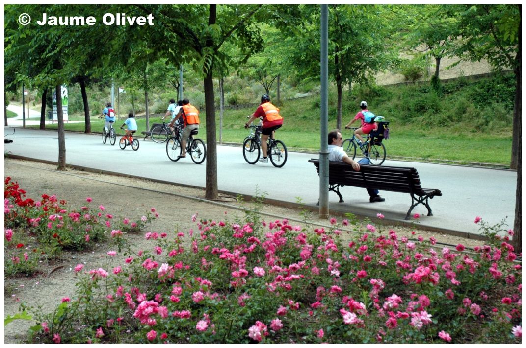© Jaume Olivet 2010