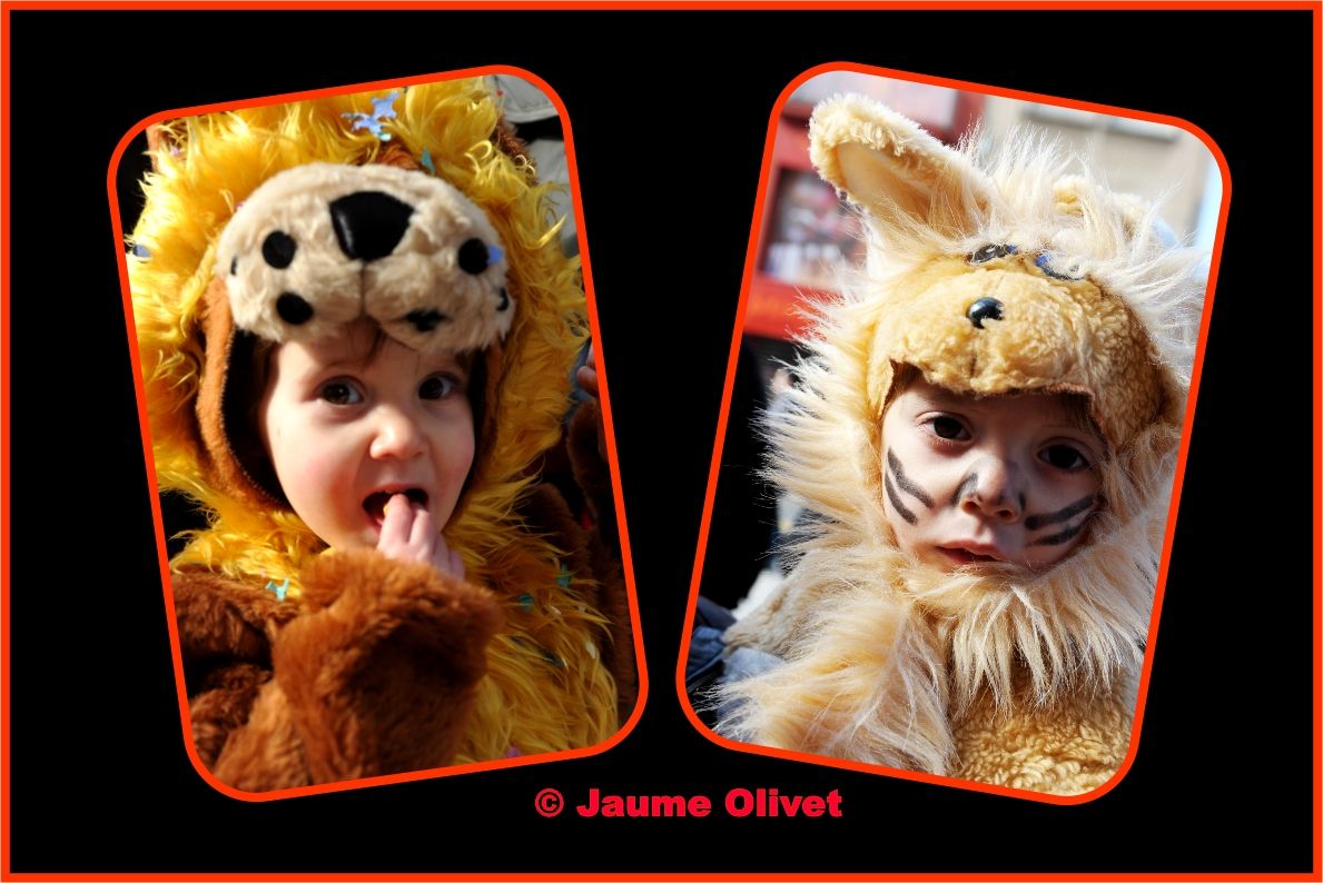 � Jaume Olivet 2010