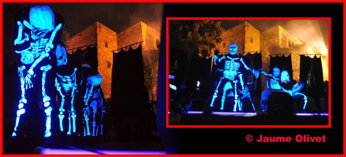 � Jaume Olivet 2010