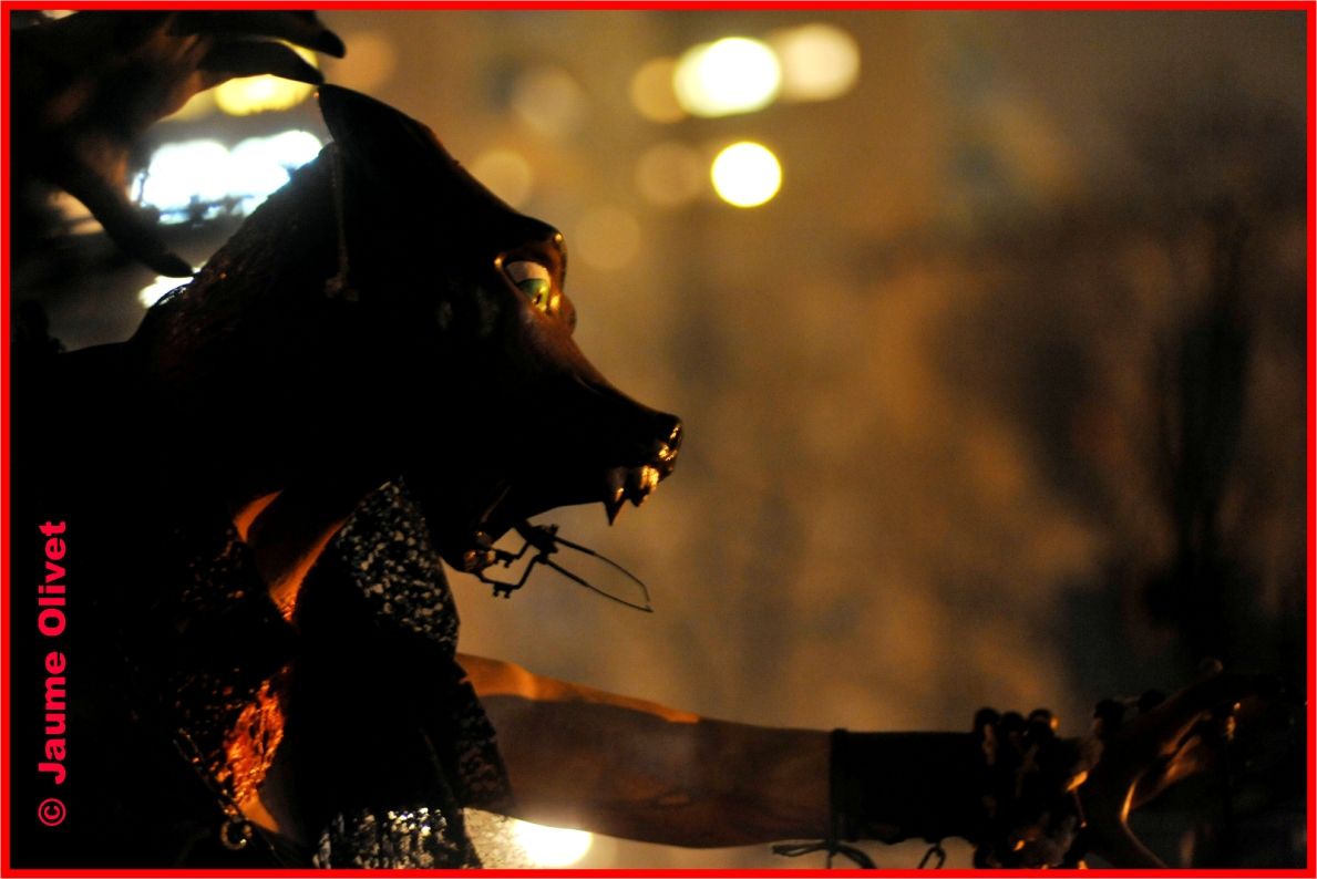 � Jaume Olivet 2010